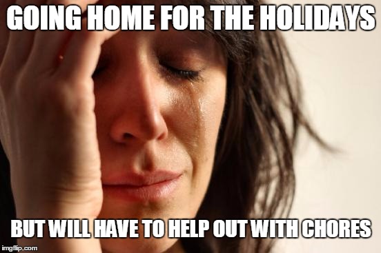 Going home for the holidays meme 